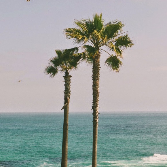 Meet your Posher, Nicole - Picture 1 of 1